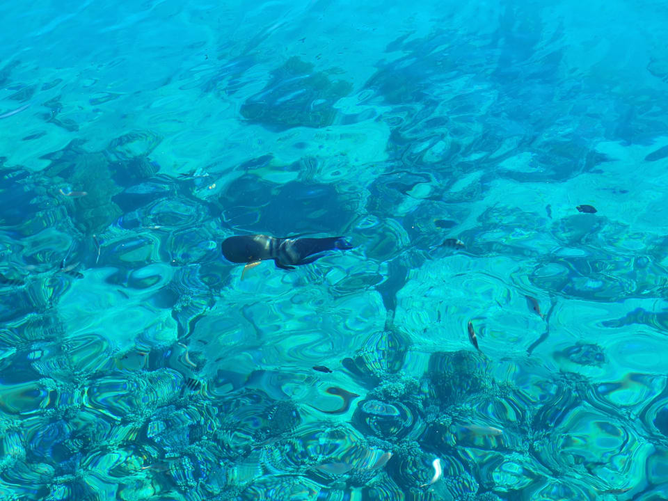 Sport & Freizeit Beach Albatros Resort