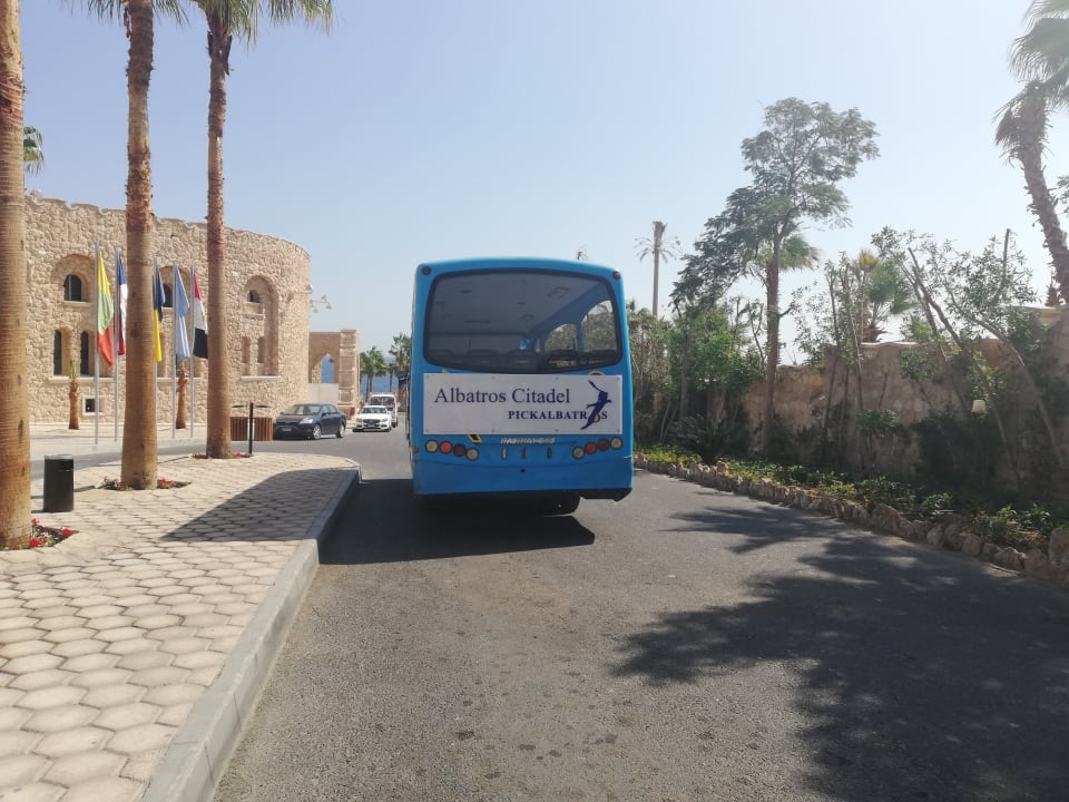 Sonstiges Pickalbatros Citadel Resort