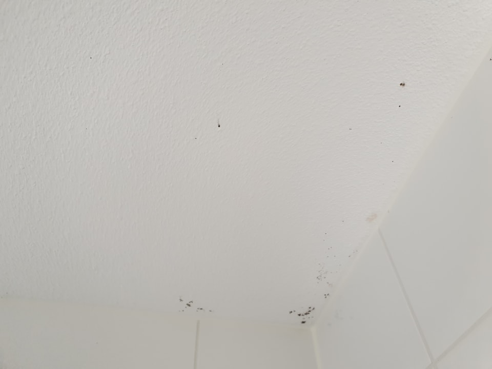 Sonstiges Landal Beach Resort Ooghduyne