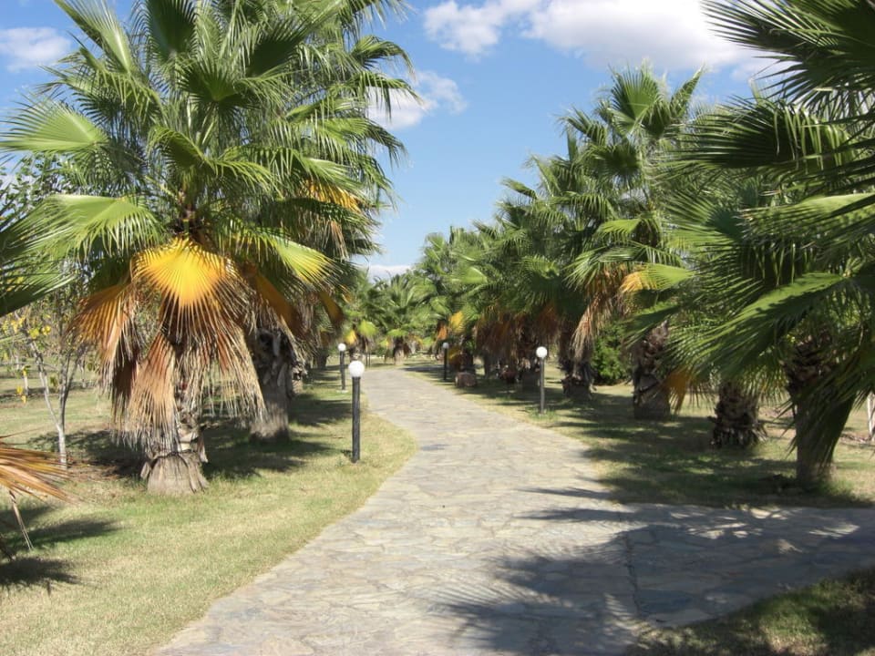 Wunderschöner Fußweg zum Strand Club Grand Aqua
