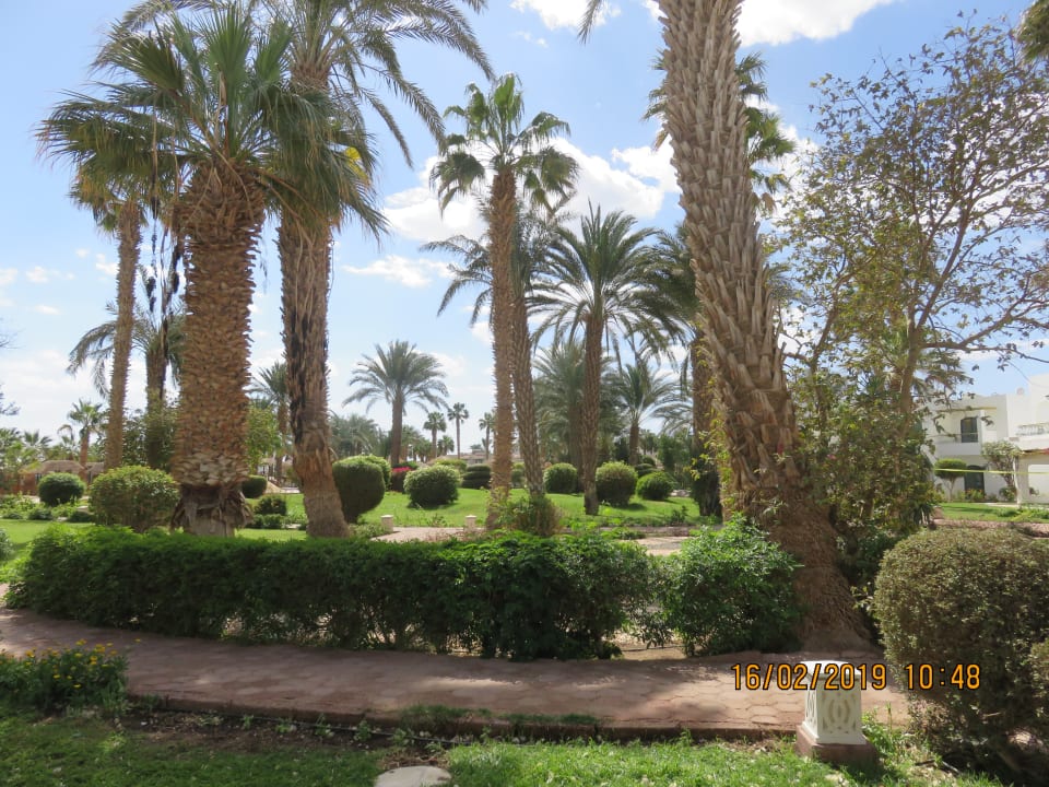 Gartenanlage Lotus Bay Beach Resort