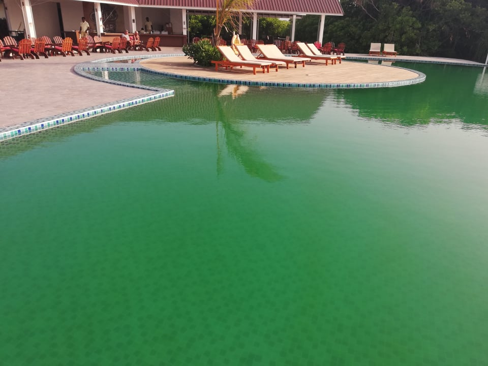 Pool Hondaafushi Island Resort