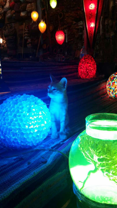 Sonstiges Steigenberger Aqua Magic