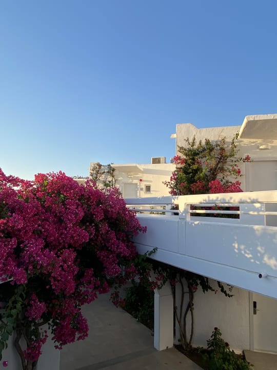 Außenansicht TUI KIDS CLUB Alex Beach