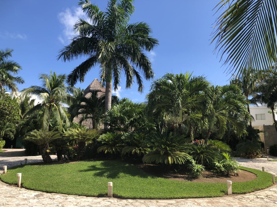 Gartenanlage Akumal Bay Beach & Wellness Resort