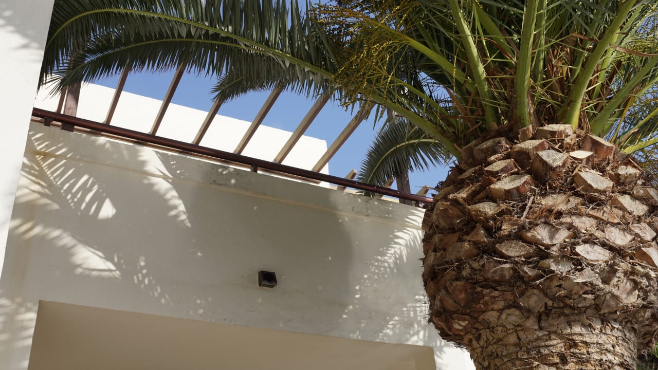 Außenansicht Alua Suites Fuerteventura