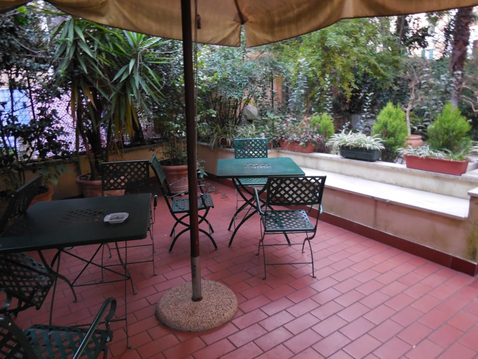 Freundlicher Minigarten hinter der Rezeption Hotel Midi