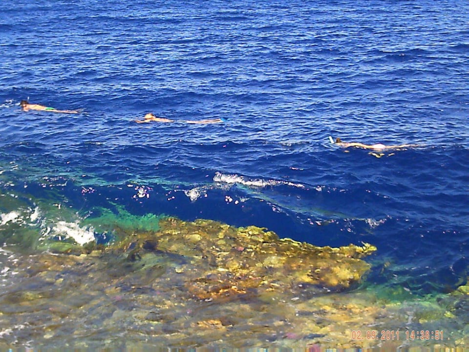 Riffkante am Steg Charmillion Sea Life Resort