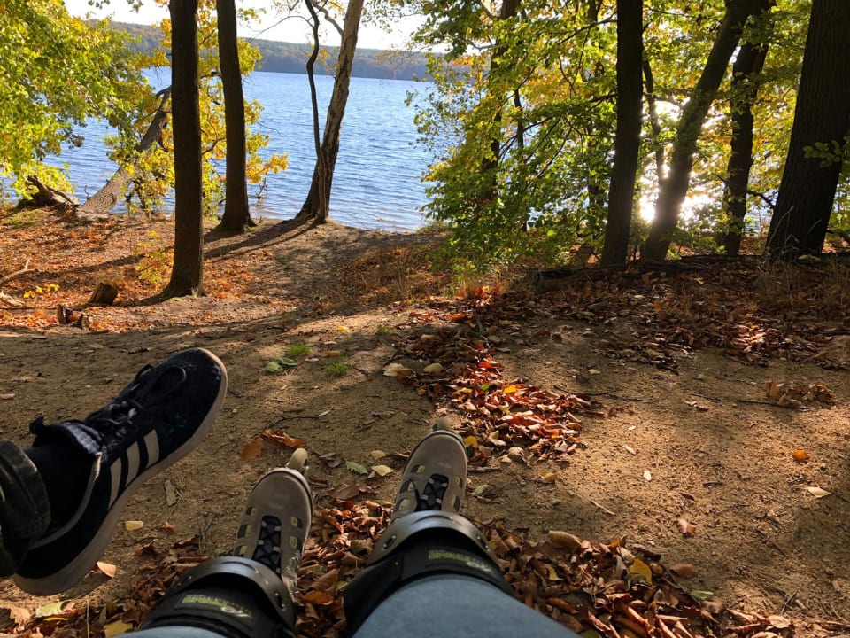 Ausblick Seminaris Seehotel Potsdam