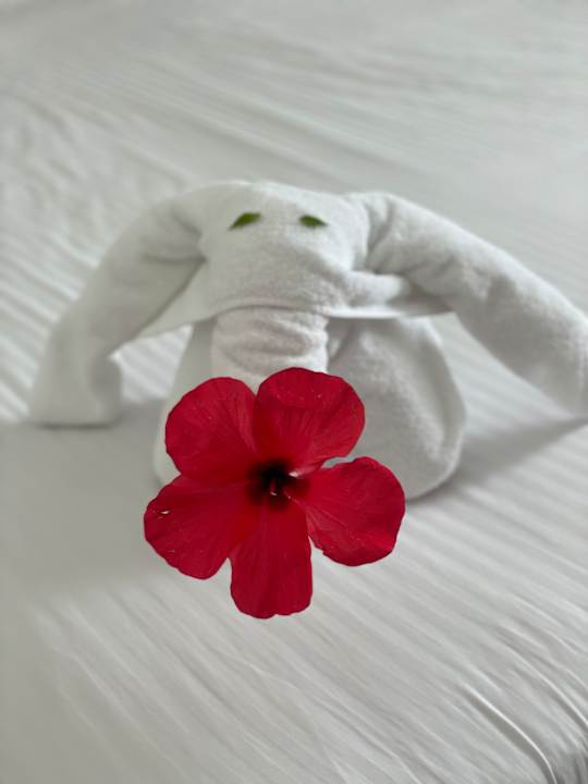 Zimmer Lazuli Hotel Marsa Alam