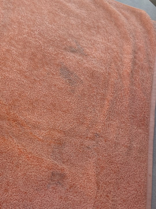 Sonstiges The Grand Palace - Adults only