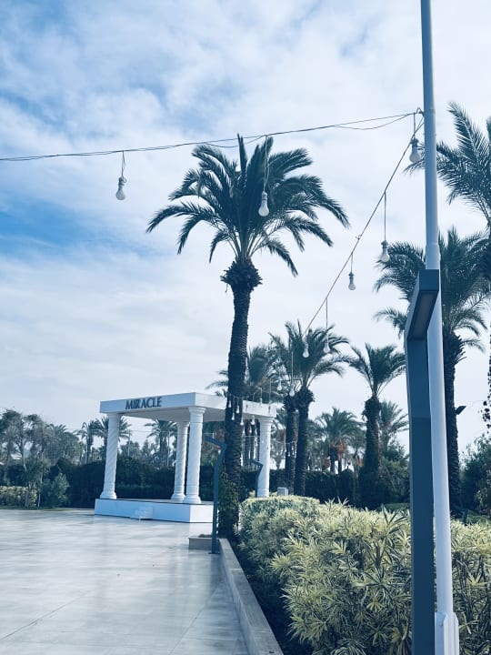 Gartenanlage Hotel Miracle Resort