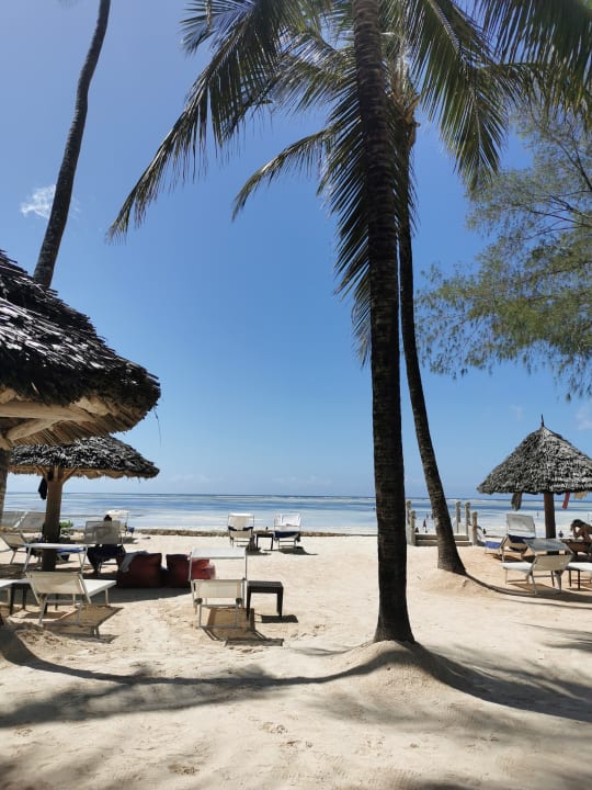 Strand TUI Blue Bahari Zanzibar