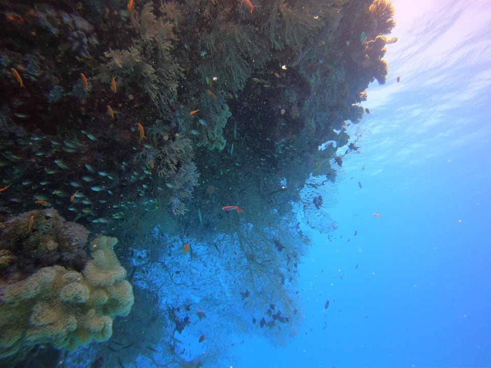 Sport & Freizeit ROBINSON SOMA BAY