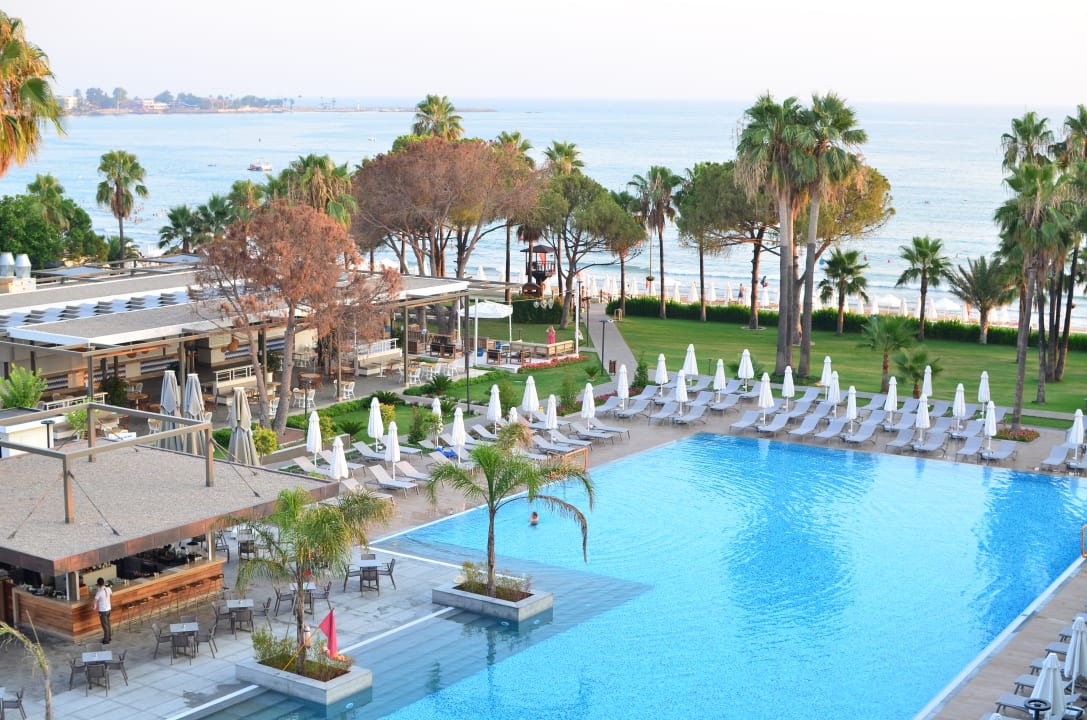 Pool Acanthus Cennet Barut Collection