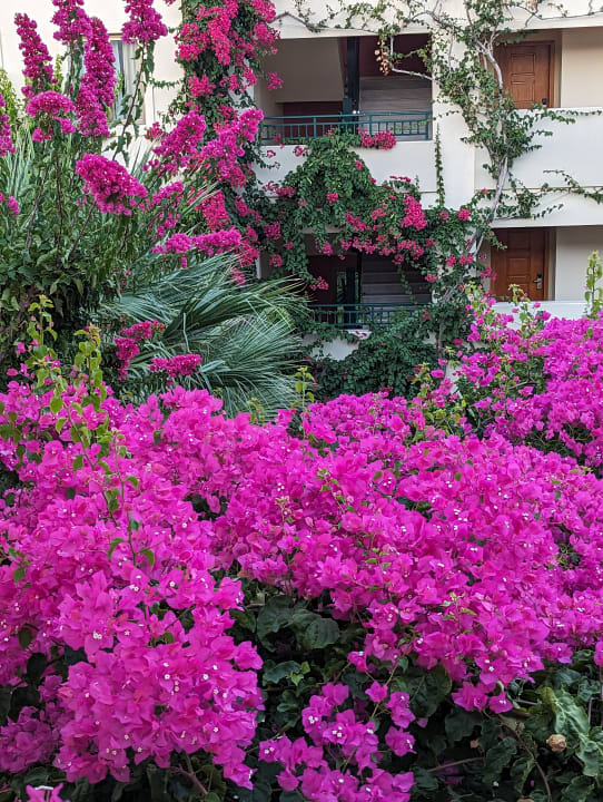 Gartenanlage Hydramis Palace Beach Resort