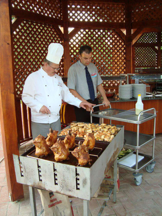 Garden Party-Dráva Hotel Thermal Resort Harkány Hotel Dráva Thermal Resort