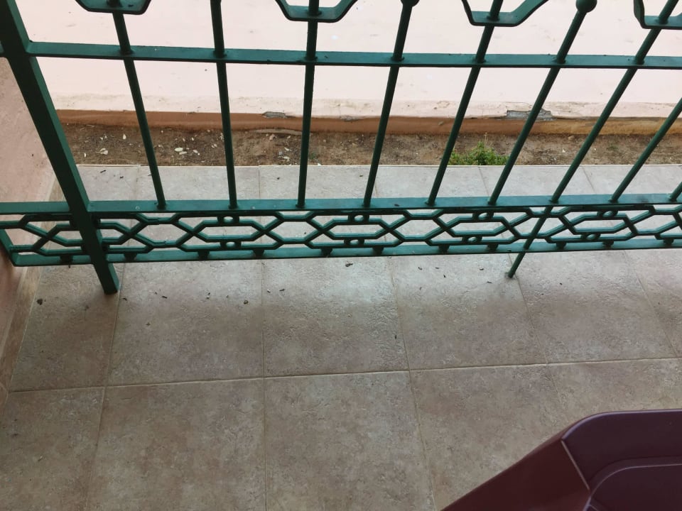 Vogelkot wurde 3 Tage nicht geputzt Playacanela Hotel