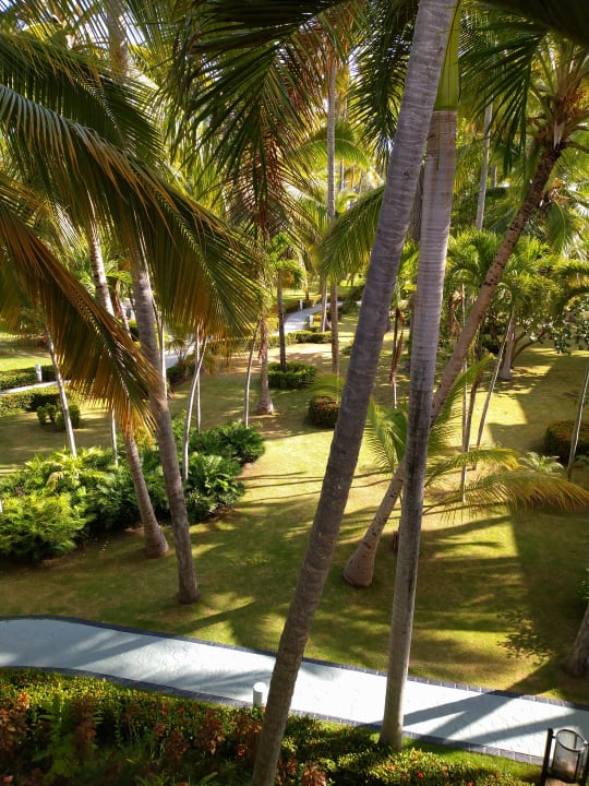 Gartenanlage Vista Sol Punta Cana