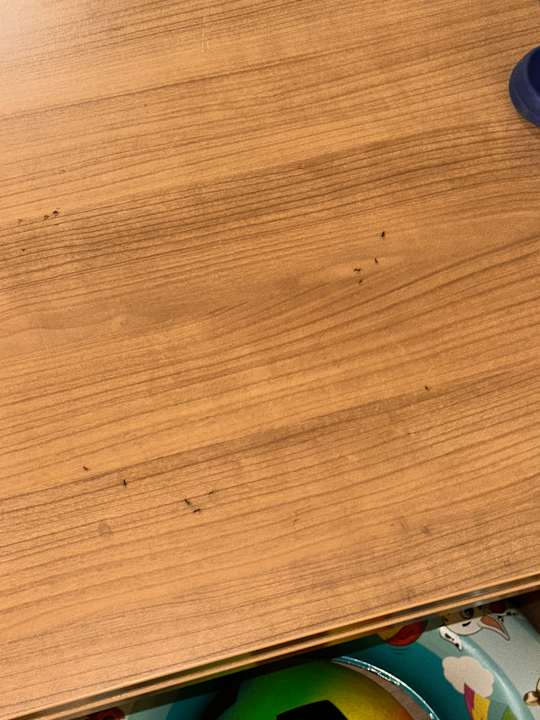 Zimmer Kaya Artemis Resort