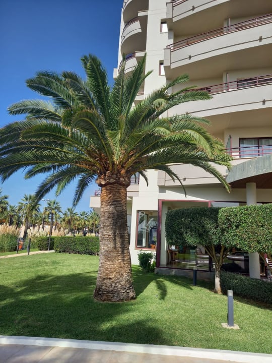 Außenansicht allsun App.-Hotel Orient Beach