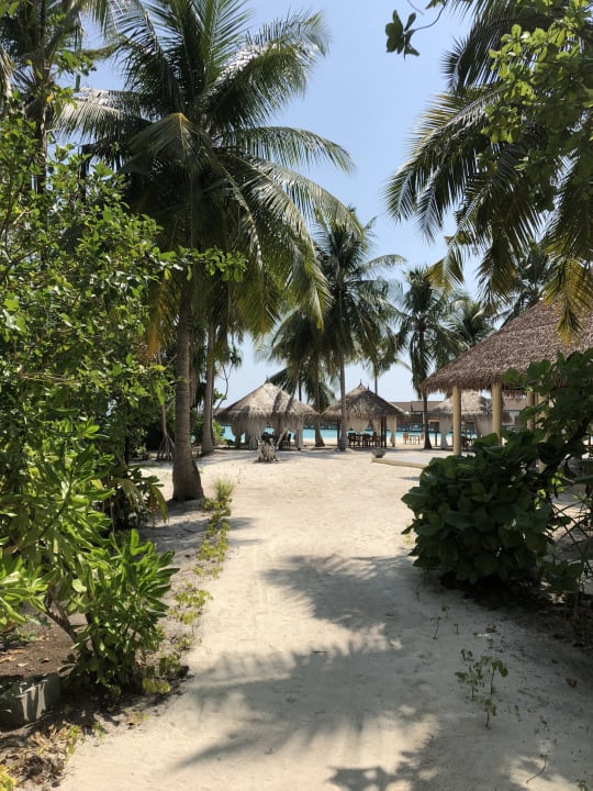 Strand Reethi Faru Resort