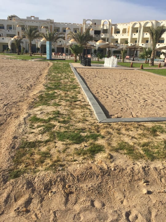 Neuer Rasen Coral Sun Beach