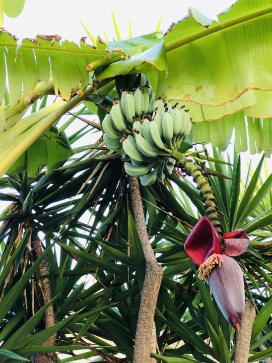 Außenansicht HARPIN Happy Days Beach Hotel