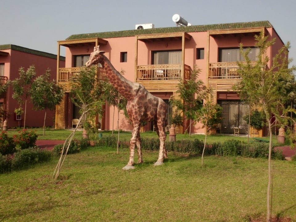 Afrikas Tierwelt Pickalbatros Aqua Fun Club Resort