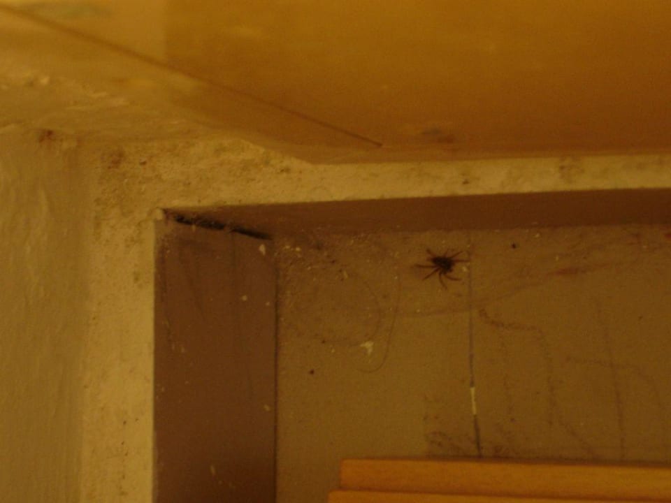 Begrüßungskommitee Pomegranate Wellness Spa Hotel