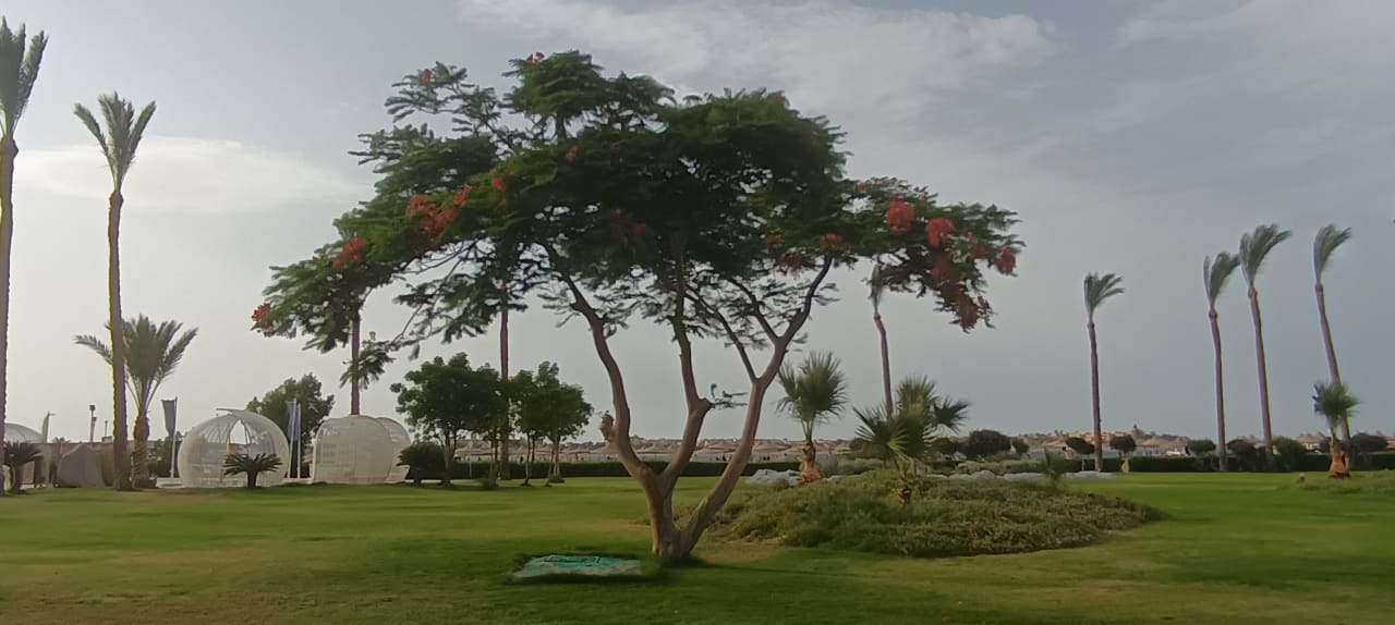 Gartenanlage Cleopatra Luxury Resort Makadi Bay