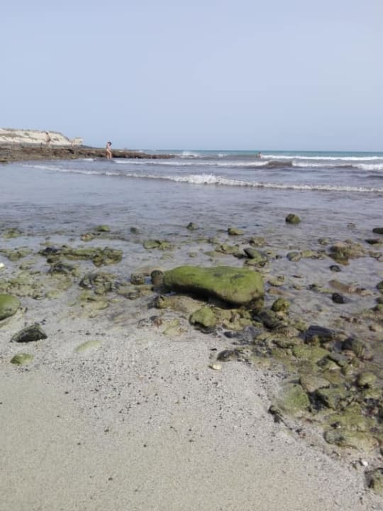 Przy hotelu SBH Costa Calma Beach Resort