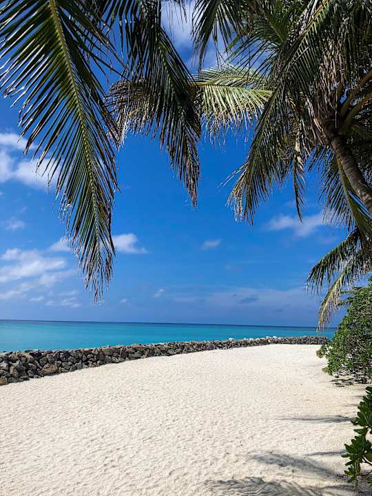 Strand Summer Island Maldives