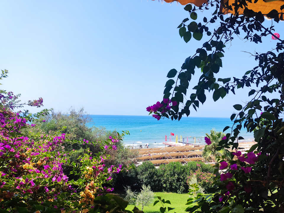 Gastro Can Garden Resort