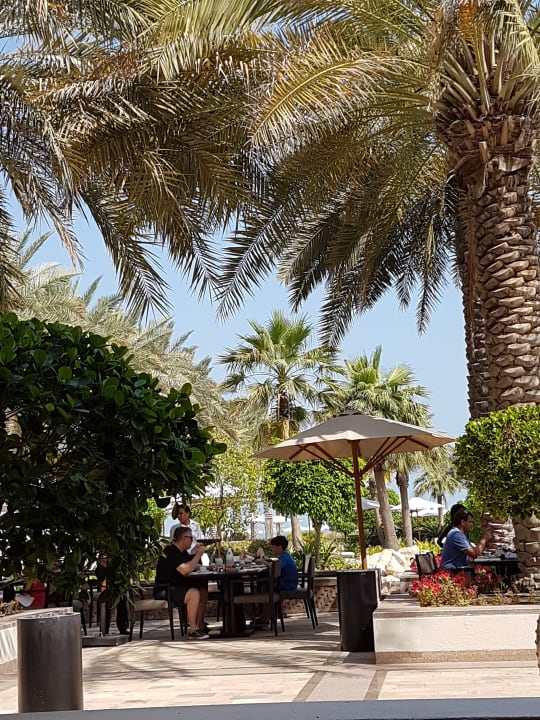 Gartenanlage Park Hyatt Abu Dhabi Hotel and Villas