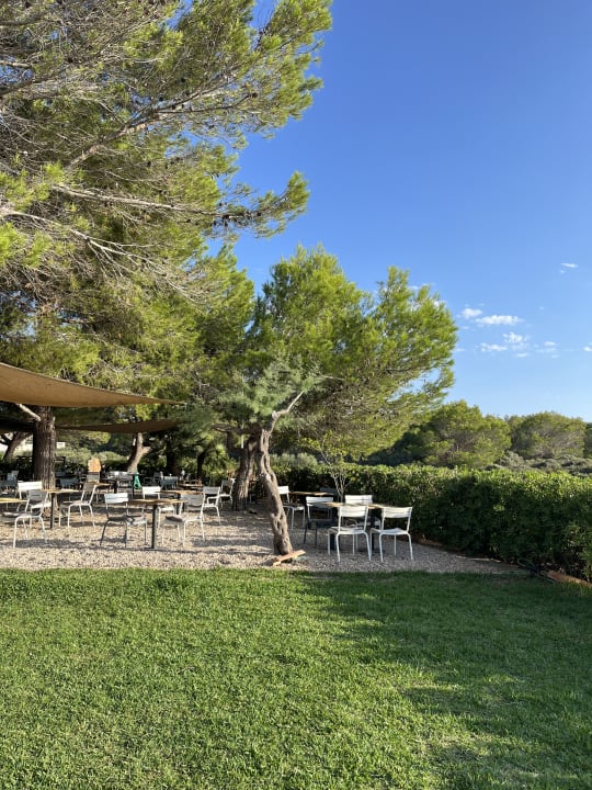 Gastro Es Blau des Nord