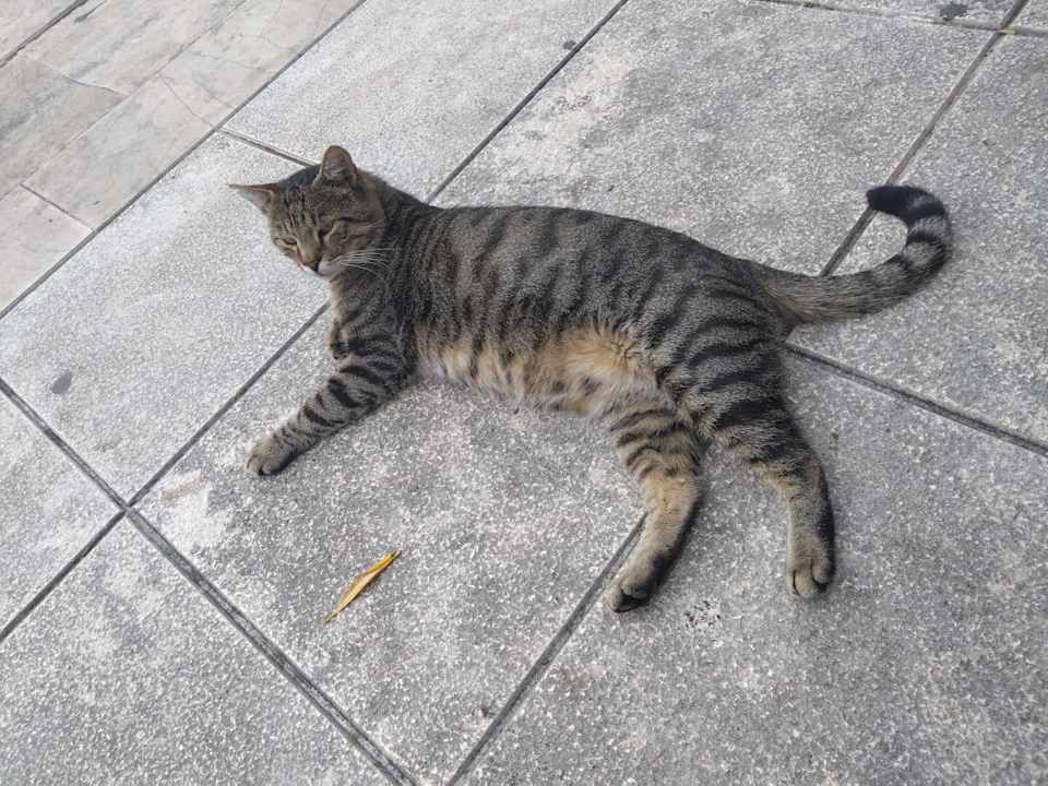 Lobby Gava Waterman Milna Resort