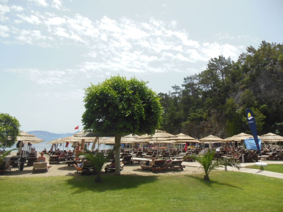 Strand TUI BLUE Seno - Adults Only