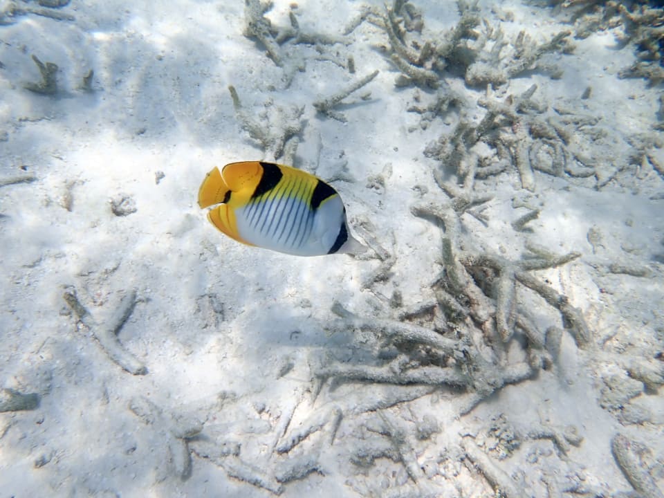 Sport & Freizeit Thulhagiri Island Resort