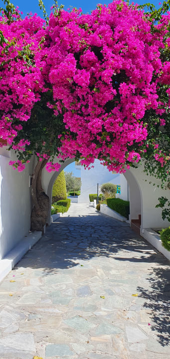 Gartenanlage Mastichari Bay Hotel