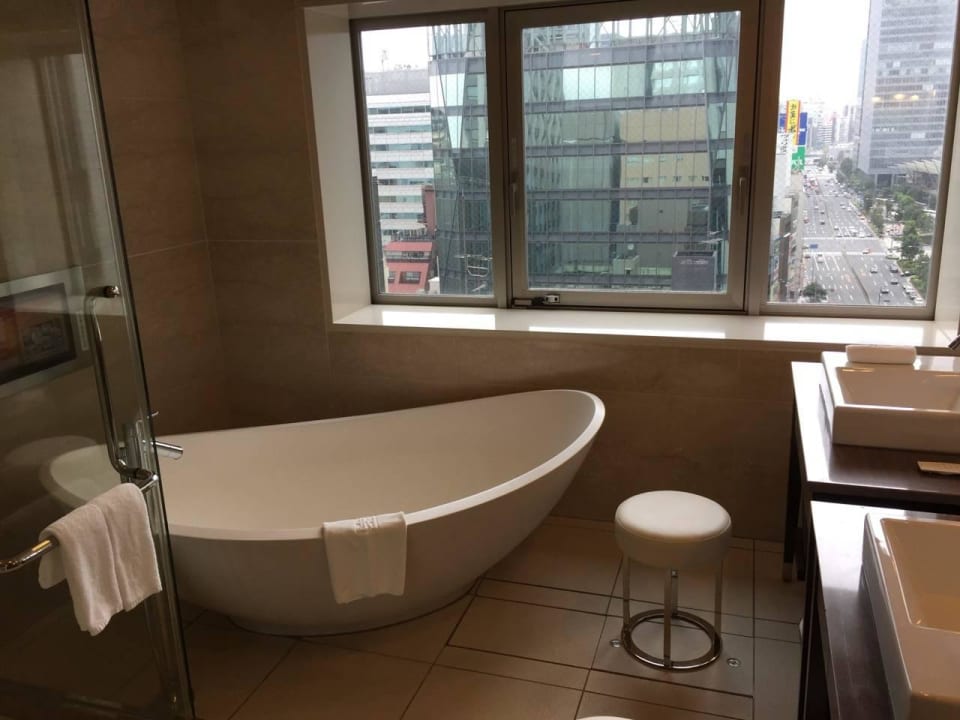 Badewanne mit Blick Richtung Tokyo Bahnhof Hotel Ryumeikan Tokyo