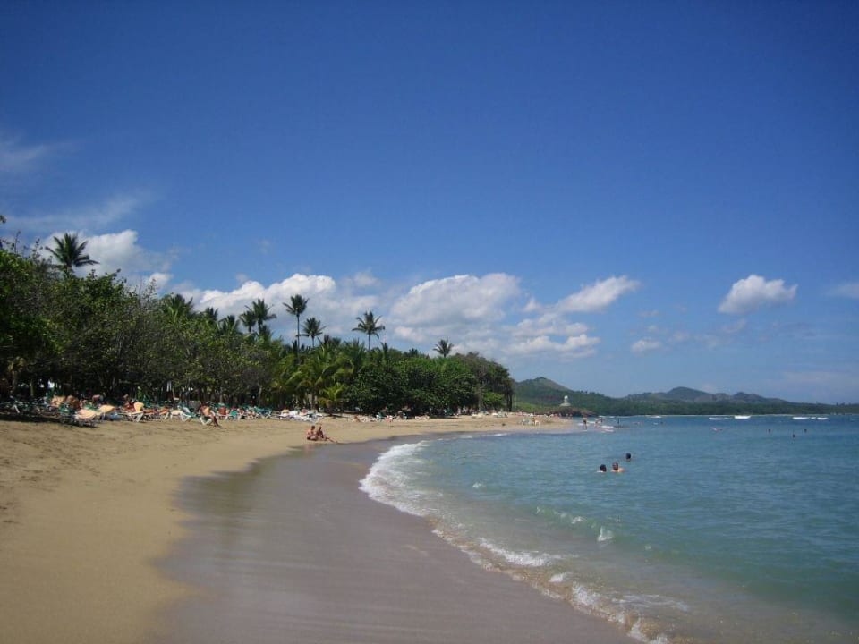 Der Strand vorm  RIU Mambo Playabachata Hotel