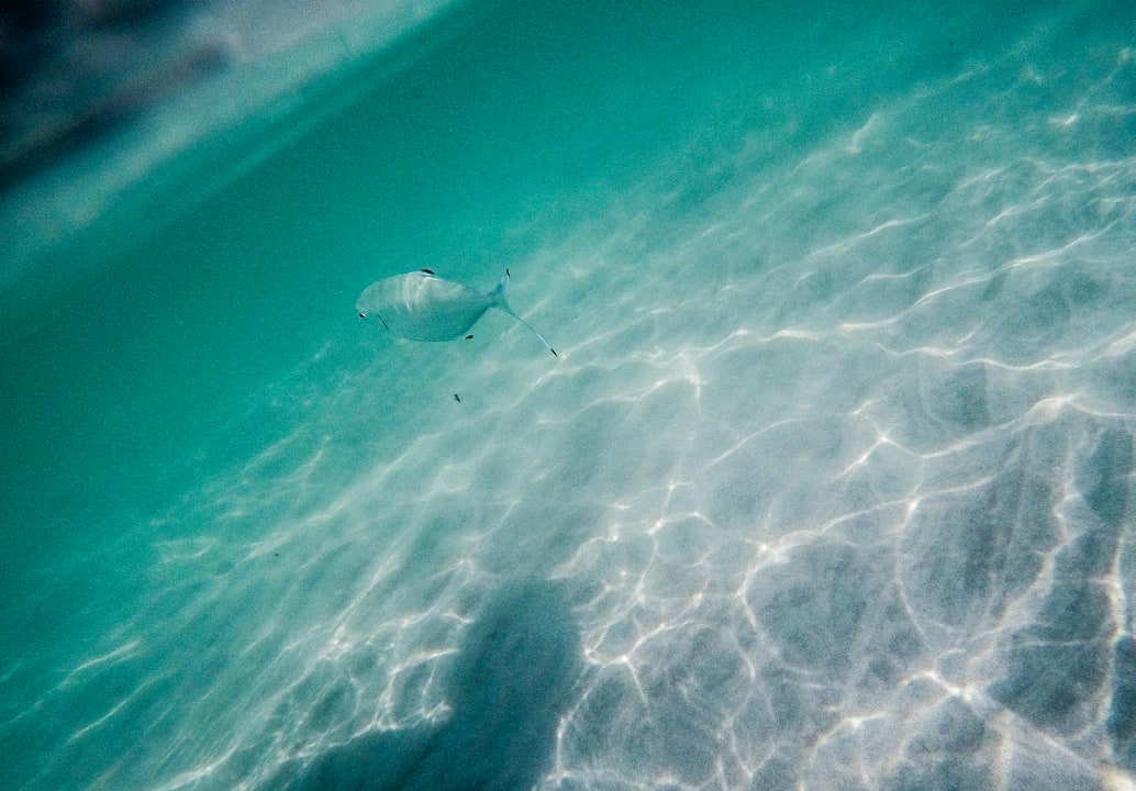 Strand Iberostar Waves Playa de Muro