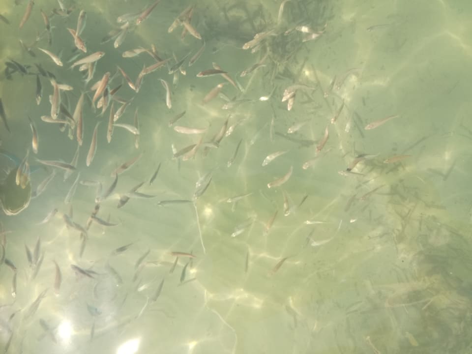 Strand Atlantica Mikri Poli Crete