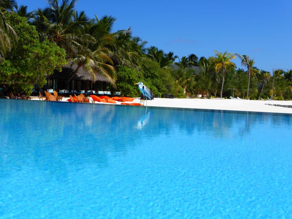 Vom Pool zur Bar gesehen Summer Island Maldives