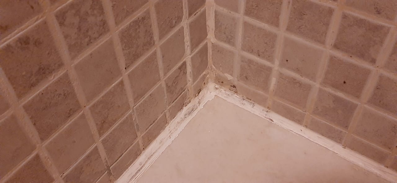 Zimmer Marvida Family Eco