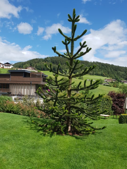 Gartenanlage Hotel Der Mesnerwirt
