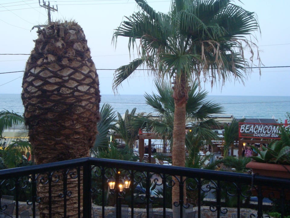 Terrasse vor der Mythosbar Cactus Beach