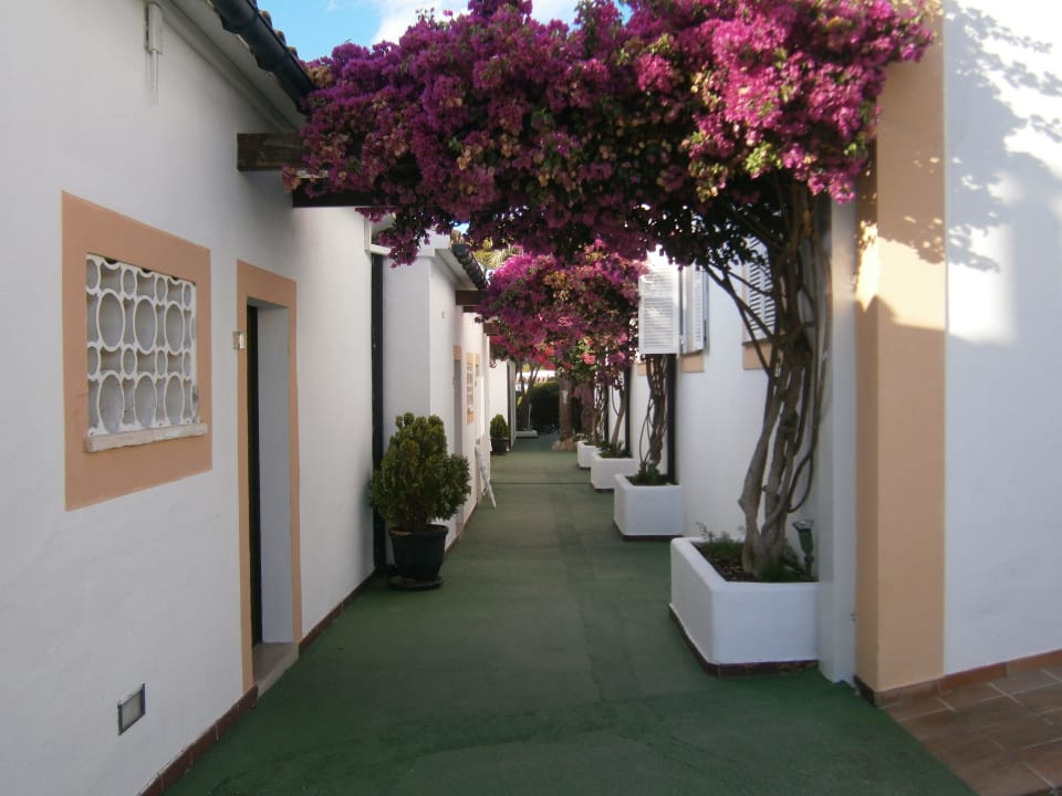 Auf dem Weg zum Pool Prinsotel Mal Pas (Adults only)