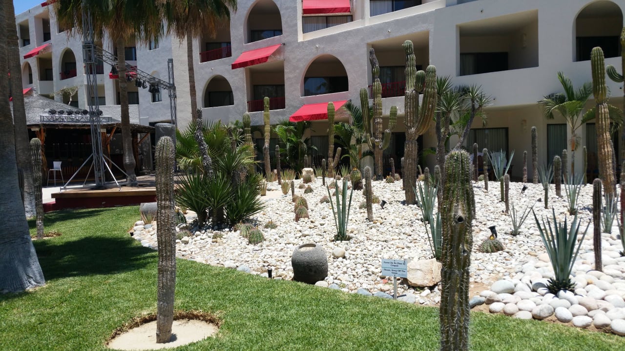 Klein aber fein Grand Decameron Los Cabos